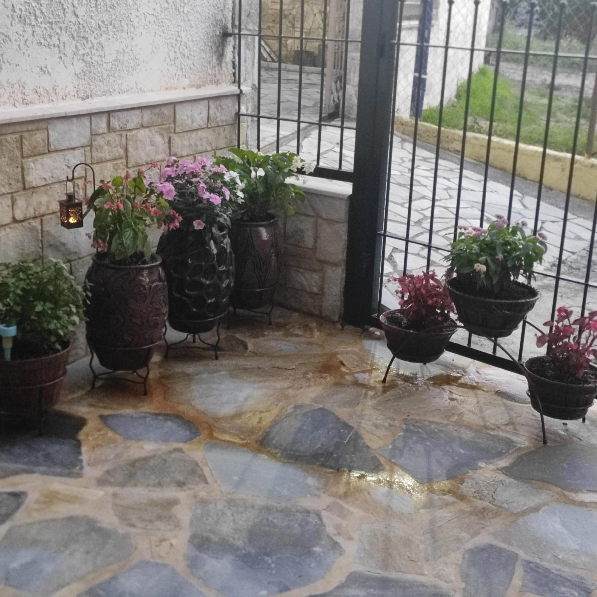 Eleni-Areti Apartment Pefkochori Ngoại thất bức ảnh