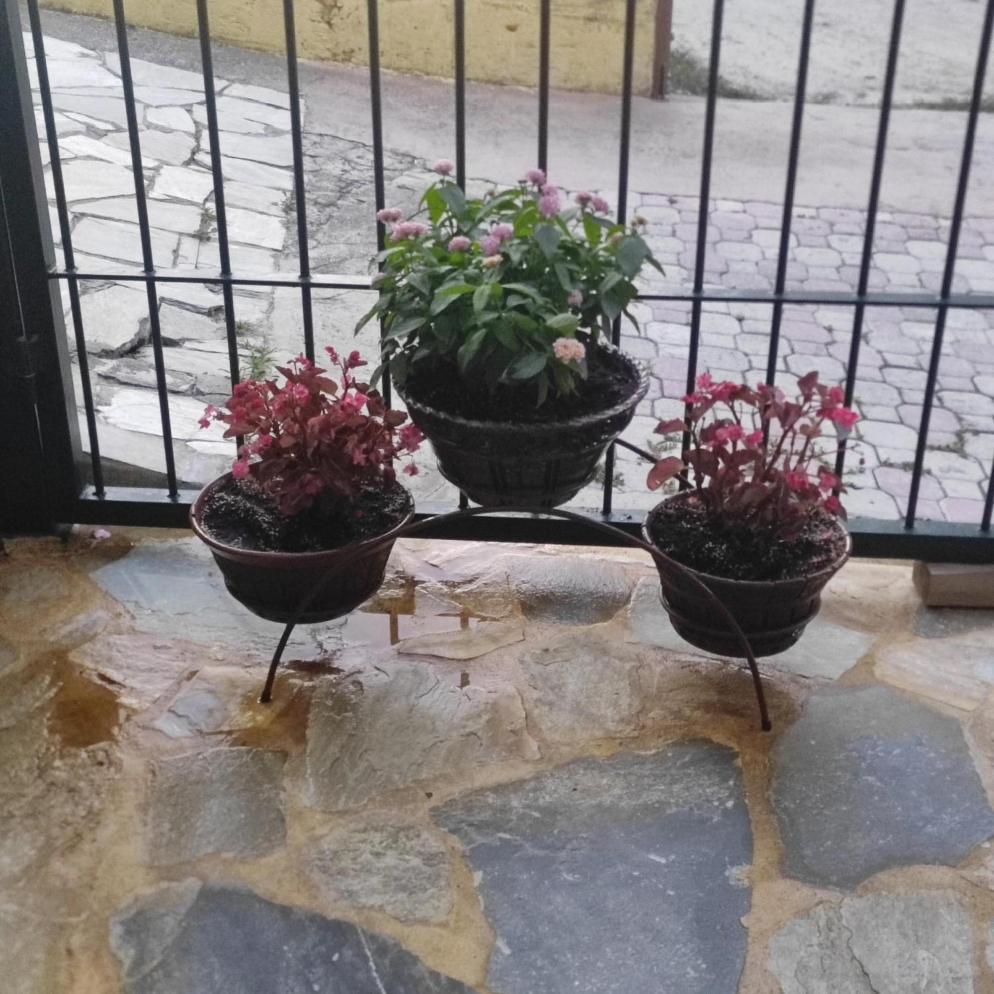 Eleni-Areti Apartment Pefkochori Ngoại thất bức ảnh